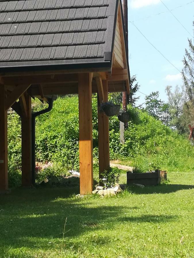 Fajna Chatka Ustrzyki Dolne Esterno foto